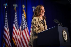 Kamala Harris playing it safe in her political campaign while Democrats worry it might doom her chances